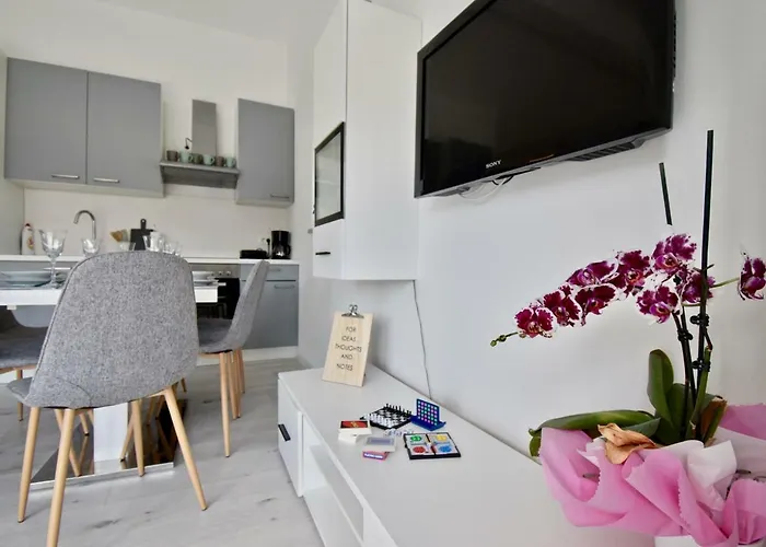 Apartment Bright And Spacious With Grill *** *